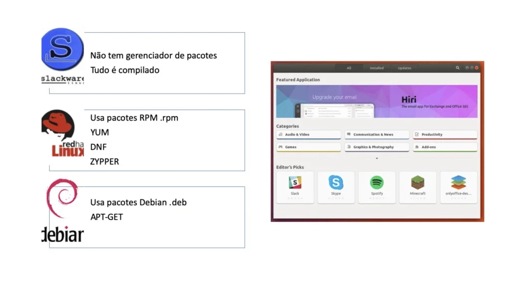 tipos de distribuição